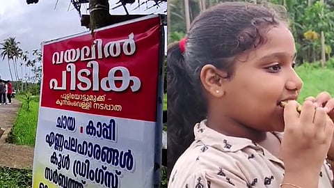 വ്യത്യസ്ത രുചിയുള്ള പച്ച പരിപ്പുവടയാണ് ഇവിടത്തെ ചായയോടൊപ്പമുള്ള പ്രധാന കോമ്പിനേഷൻ