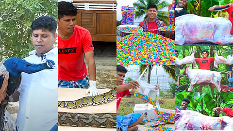 ഫിറോസ് ചുട്ടിപ്പാറ