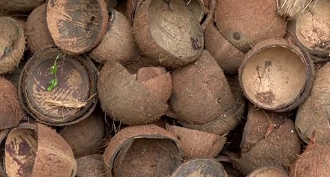 ചിരട്ടയ്ക്കും പൊള്ളും വില