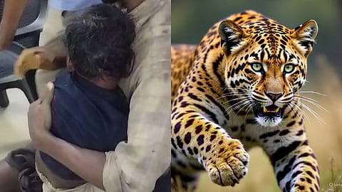 നാല് വയസുകാരനെ പുലിആക്രമിച്ചു