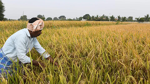 കർഷക ഫണ്ടിന്റെ 90 ശതമാനവും മധ്യപ്രദേശ് സർക്കാർ  ചെലവഴിച്ചത് 
വാഹനങ്ങൾക്ക് വേണ്ടിയെന്ന് സിഎജി റിപ്പോര്‍ട്ട്