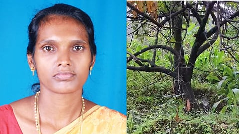 കുറ്റ്യാടി പശുക്കടവിലെ വീട്ടമ്മയുടേയും പശുവിന്റേയും മരണം ഷോക്കേറ്റ് തന്നെ; പ്രാഥമിക പോസ്റ്റ്‌മോര്‍ട്ടം റിപ്പോര്‍ട്ട് പുറത്ത്