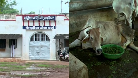 ഛത്തീസ്ഗഡിലെ ദുർഗ് ജയില്‍