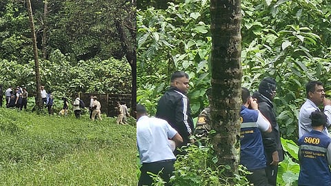 Image: Shivani Kava/X 