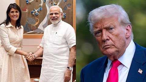 nikki haley, US, Donald Trump