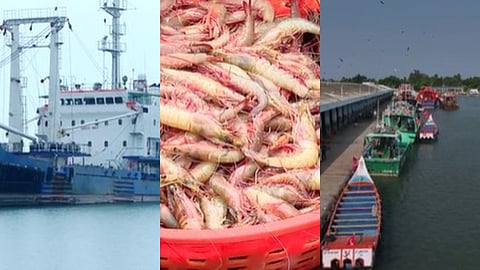 ആശങ്കയോടെ  സമുദ്രോത്‌പന്ന മേഖല 
