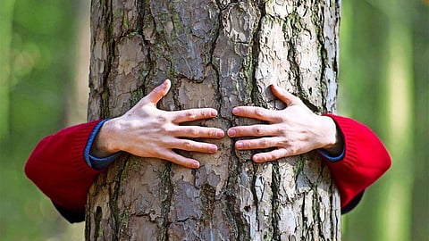 study finds Human connection to nature has declined 60% in 220 years