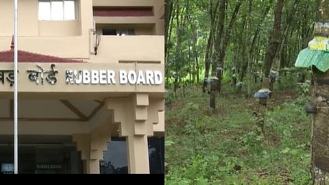 അമേരിക്കൻ അധിക തീരുവയിൽ റബ്ബർ മേഖലയും ആശങ്കയിൽ