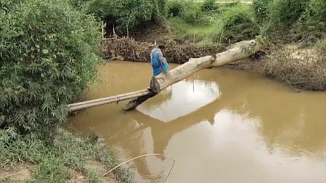 കല്ലൂർ പുഴ