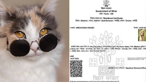 ബിഹാര്‍ വോട്ടര്‍ പട്ടിക പരിഷ്കരണത്തിന് ട്രോളോടു ട്രോള്‍; റസിഡന്റ്സ് സർട്ടിഫിക്കറ്റിന് അപേക്ഷ സമര്‍പ്പിച്ച്, ഡോഗ് ബാബു.. ഡോഗേഷ് ബാബു.. ക്യാറ്റിയ ദേവി 