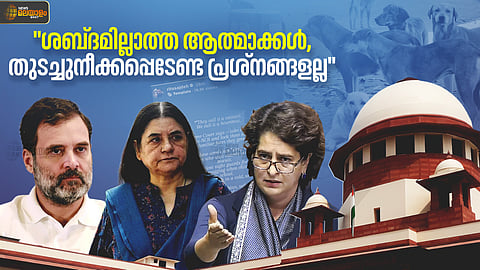 തെരുവുനായകൾക്കായി ശബ്ദമുയർത്തി മൃഗസ്നേഹികൾ