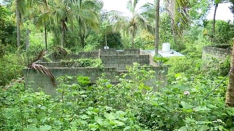 കാടുകയറി നശിച്ച വീടുകൾ