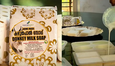 ഗുണമേന്മയില്‍ വിട്ടുവീഴ്ചയില്ലാത്ത കഴുതപ്പാലില്‍ നിര്‍മിച്ച സോപ്പ്, വേറിട്ട സംരംഭവുമായി നേമത്തെ കര്‍ഷക കൂട്ടായ്മ