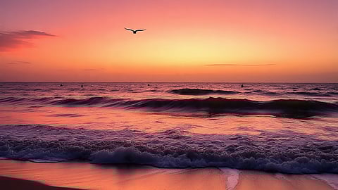 കടൽ കാണാൻ പോകാറുണ്ടോ? ആരോ​ഗ്യത്തിന് നല്ലതെന്ന് വിദ​ഗ്ധർ