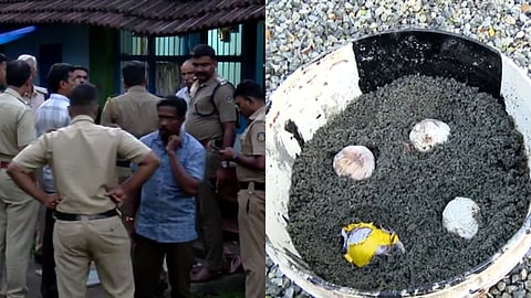 പാലക്കാട് സ്കൂൾ പരിസരത്ത് പന്നിപ്പടക്കം പൊട്ടി