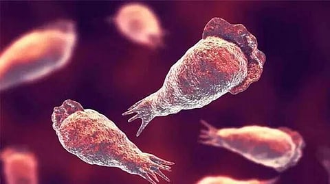 പ്രതീകാത്മക ചിത്രം