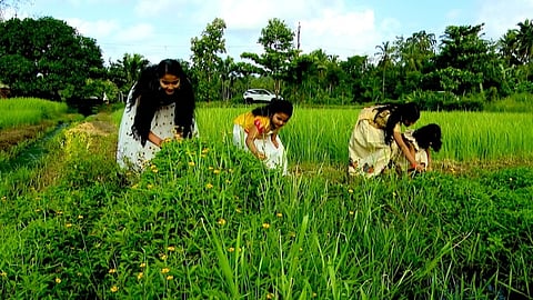 പ്രതീക്ഷയോടെ അത്തം പിറന്നു.. ഇനി പത്താം നാൾ പൊന്നോണം
