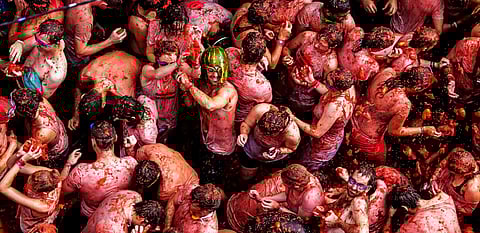 തക്കാളിച്ചുവപ്പിൽ തുടുത്ത് സ്പെയിൻ; ലാ ടൊമാറ്റിന ഫെസ്റ്റിവലിന് 80 വയസ്