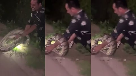 ഹമീദ് മലമ്പാമ്പിനെ പിടികൂടുന്നതിൻ്റെയും കടിയേൽക്കുന്നതിൻ്റെയും ദൃശ്യങ്ങൾ