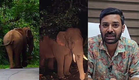 അതിരപ്പള്ളി-മലക്കപ്പാറ റോഡില്‍ വന്യ മൃഗ ആക്രമണം പതിവാകുന്നതിന് കാരണം യാത്രക്കാര്‍; കര്‍ശന നടപടി സ്വീകരിക്കാന്‍ വനം വകുപ്പ്