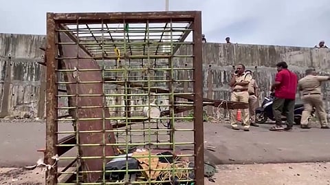 ദേശീയപാത നിർമാണത്തിനിടെയുണ്ടായ അപകടങ്ങൾ: കാസർഗോഡ് മാത്രം ഏഴ് മരണം; എട്ട് മാസത്തിനിടെ സംസ്ഥാനത്ത് മരിച്ചത്  25 പേർ