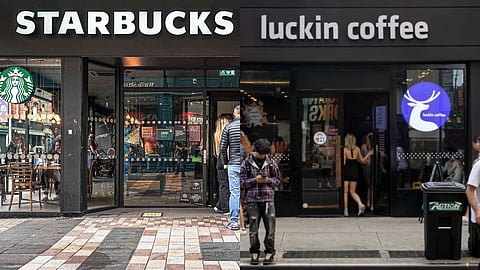 സ്റ്റാർബക്സ്, ലക്കിൻ കോഫി