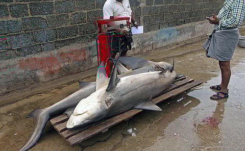 പ്രതീകാത്മക ചിത്രം