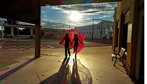 ഐഫോണ്‍ 17 പ്രോ മാക്‌സില്‍ നിന്നുമെടുത്ത ആദ്യ ചിത്രങ്ങള്‍; സോഷ്യല്‍ മീഡിയയില്‍ പങ്കുവെച്ച് ആപ്പിള്‍ സിഇഒ