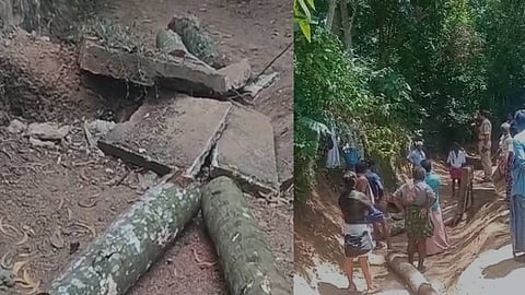 തെങ്ങ് വീണ് പാലം തകർന്നു; തിരുവനന്തപുരത്ത് രണ്ട് തൊഴിലുറപ്പ് തൊഴിലാളികൾക്ക് ദാരുണാന്ത്യം