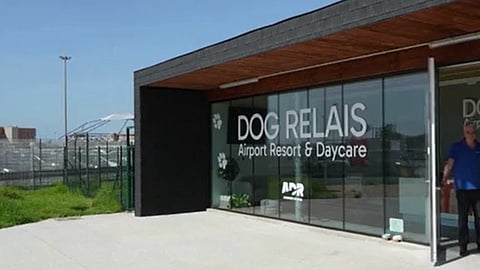 ദൂരയാത്രകളിൽ വളർത്തു നായയെ കൊണ്ടുപോകാൻ കഴിയാത്തതിൽ വിഷമമുണ്ടോ? ഫ്യൂമച്ചീനോ വിമാനത്താവളത്തിൽ അതിന് പരിഹാരമുണ്ട്!