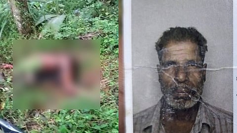 മരിച്ച മോഹനൻ