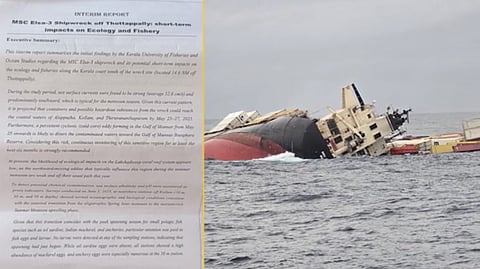 മീന്‍ മുട്ടകൾ ചുരുങ്ങിപ്പോയി, രൂപം മാറി; എംഎസ്‍സി എൽസ3 കപ്പലപകടം മത്സ്യമേഖലയിൽ സൃഷ്ടിക്കുന്നത് ഗുരുതര പ്രത്യാഘാതം