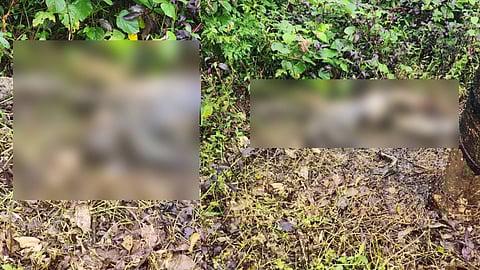 മരത്തിൽ ചങ്ങലക്കിട്ട നിലയിലായിരുന്നു മൃതദേഹം