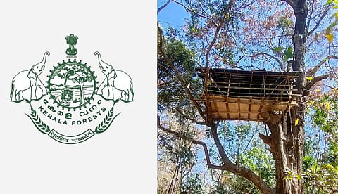 വനം വകുപ്പ് വാച്ചര്‍ ഇനി മുതല്‍ ഫോറസ്റ്റ് ബീറ്റ് അസിസ്റ്റന്റ്, തസ്തിക പുനര്‍നാമകരണം ചെയ്ത് ഉത്തരവിറങ്ങി 