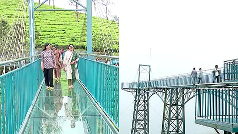 അട്ടമലയിലെ കണ്ണാടി പാലം 