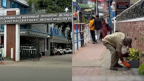 വൃത്തിയിലും ഗ്ലാമറിലും വിട്ടുവീഴ്ചയില്ല; കളറാണ് സുൽത്താൻ ബത്തേരി നഗരസഭ 