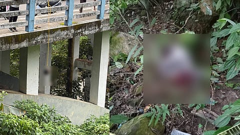 തലയും ഉടലും വേർപ്പെട്ട നിലയിൽ