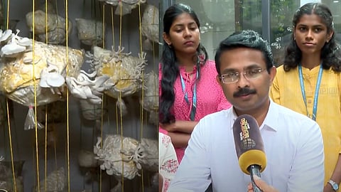 ദേവഗിരി കോളേജിലെ കൂൺ കൃഷി