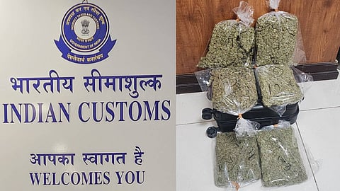 ഒരു വർഷത്തിനിടെ നെടുമ്പാശേരിയിൽ മാത്രം പിടികൂടിയത് 100 കോടിയുടെ ഹൈബ്രിഡ് കഞ്ചാവ്; ആവശ്യക്കാരിൽ സിനിമക്കാരും