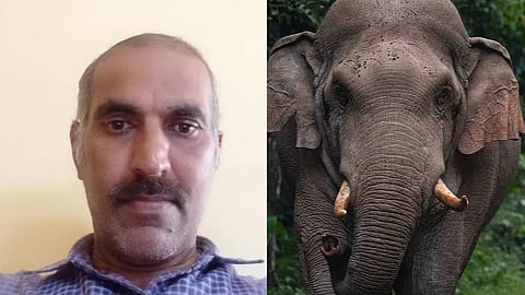 കാട്ടാന ആക്രമണത്തിൽ കൊല്ലപ്പെട്ട ശാന്തകുമാർ