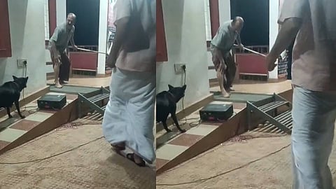 നായ കടിക്കുന്ന ദൃശ്യങ്ങൾ