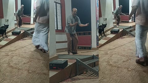 തെരുവുനായ ശല്യത്തിനെതിരെ നാടകം കളിക്കുന്നതിനിടെ നായ കടിച്ചു