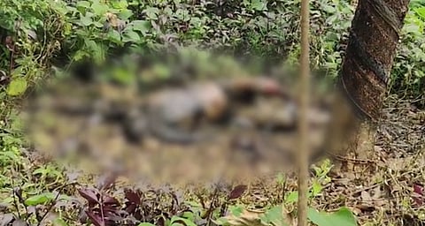 പുനലൂർ ആളുകേറാമലയിൽ കൊല്ലപ്പെട്ടത് ട്രാൻസ്ജെൻഡർ? കൊല്ലപ്പെട്ടയാളെ തിരിച്ചറിയാൻ ശ്രമം തുടരുന്നു