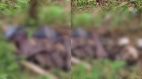 ശാസ്താംകോട്ടയിൽ കണ്ടെത്തിയ മൃതദേഹം
