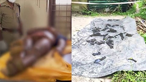 സജിയുടെ മൃതദേഹം