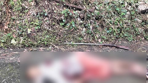 പാലക്കാട് രണ്ട് യുവാക്കൾ വെടിയേറ്റ് മരിച്ച നിലയിൽ; സമീപത്തുനിന്ന് നാടൻ തോക്ക് കണ്ടെത്തി