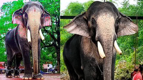 എന്നാലും എൻ്റെ രാമാ... തെച്ചിക്കോട്ടുകാവ് രാമചന്ദ്രന് വീണ്ടും റെക്കോർഡ് ഏക്കത്തുക