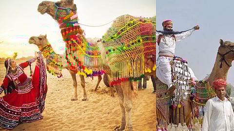 പുഷ്കർ മേള