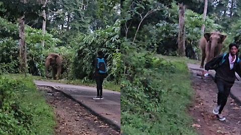 കാട്ടാനയെ യാത്രക്കാർ പ്രകോപിപ്പിക്കുന്നതിൻ്റെയും കാട്ടാന ഓടിക്കുന്നതിൻ്റെയും ദൃശ്യങ്ങൾ