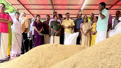 നെല്ല് സംഭരണം പ്രതിസന്ധിയിലേക്ക്, സർക്കാർ നിർദേശം തള്ളി മില്ലുടമകൾ; നെല്ല് സംഭരണം നാളെ തുടങ്ങില്ല